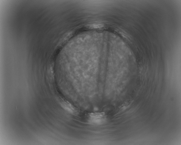 X0000064060373200602101536