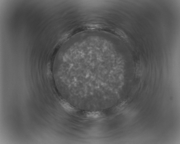 X0000064060377200602101536