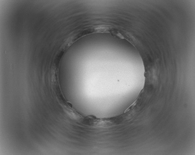 X0000064060379200602101536