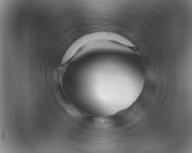X0000064060380200602101536