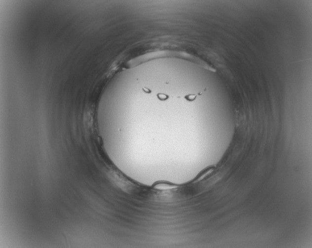 X0000064060382200602101537
