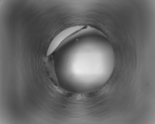 X0000064060384200602101537