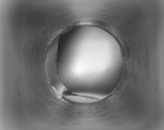X0000064060385200602101536