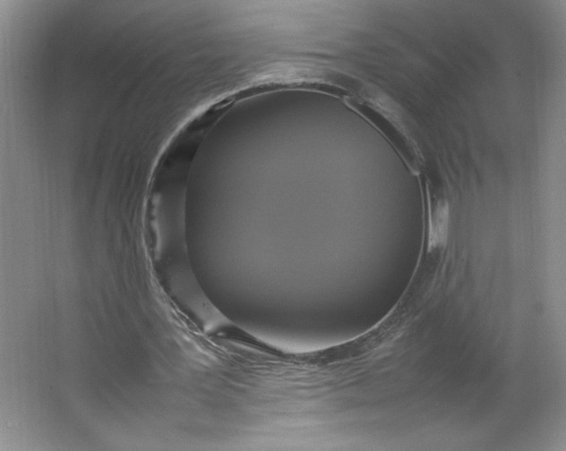 X0000064060387200602101536