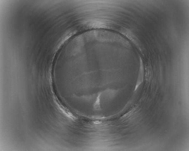 X0000064060390200602101536