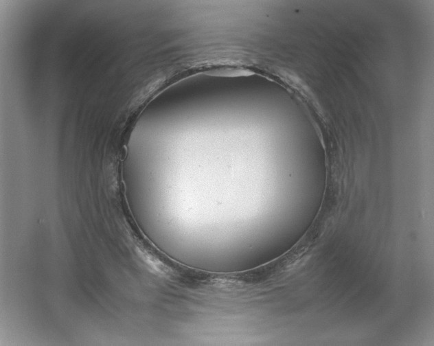 X0000064060393200602101536