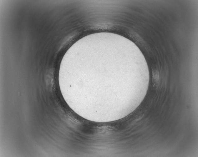 X0000064060396200602101536