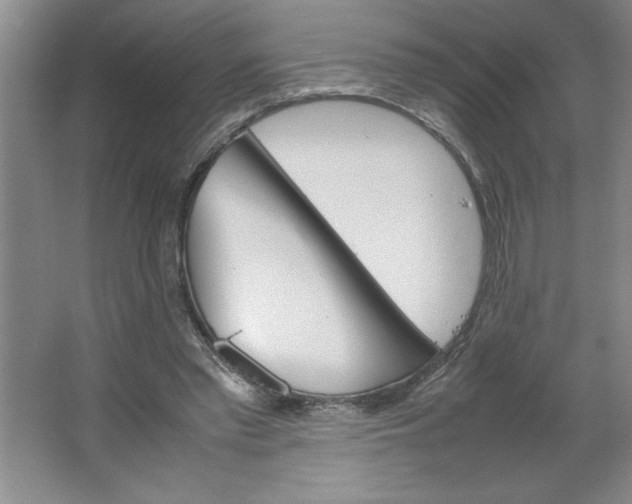 X0000064060397200602101536