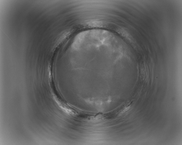 X0000064060398200602101536
