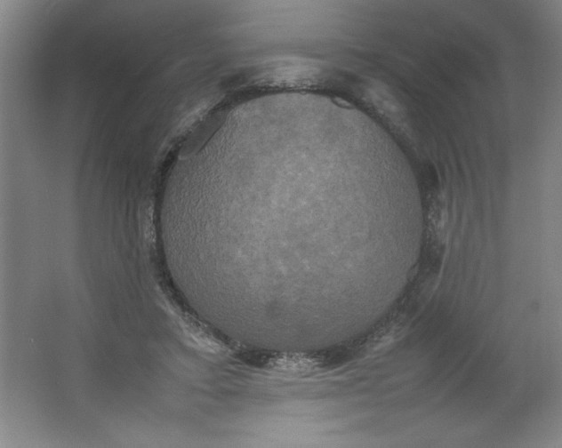 X0000064060403200602101535