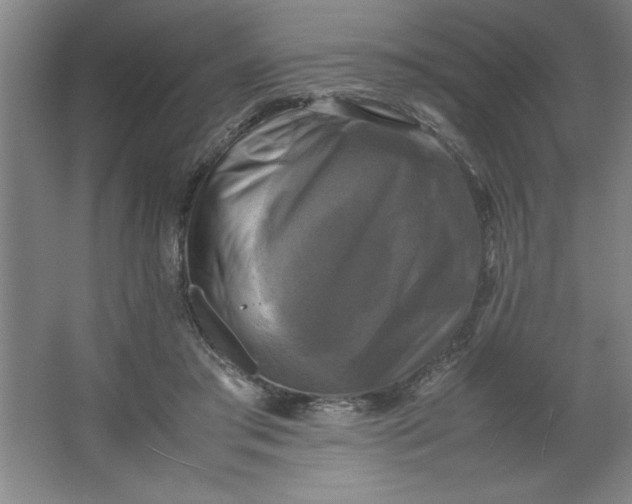 X0000064060405200602101535