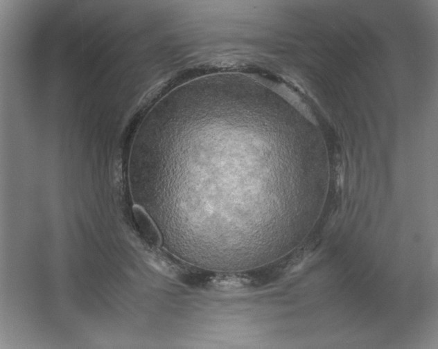 X0000064060407200602101535