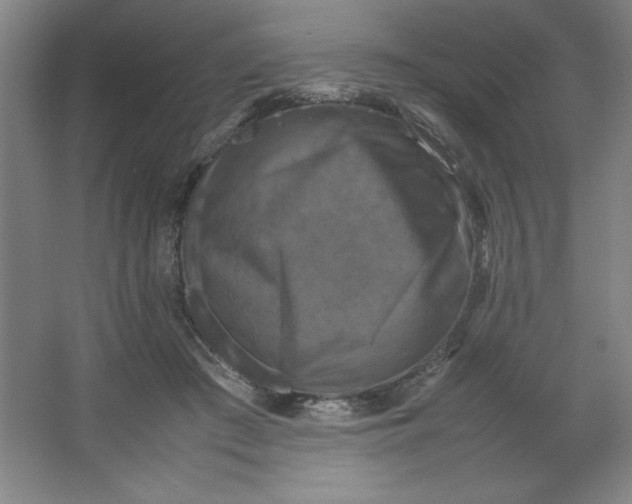 X0000064060409200602101535