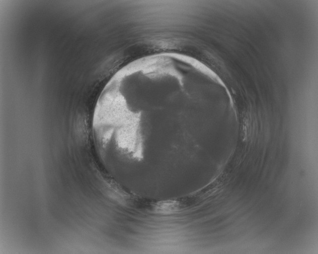 X0000064060410200602101535