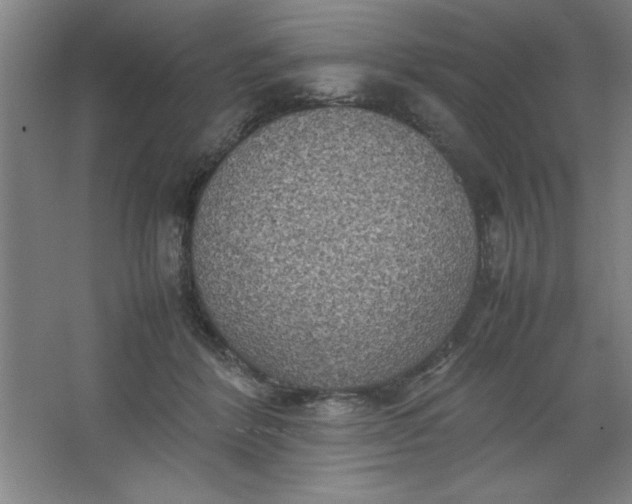 X0000064060412200602101535