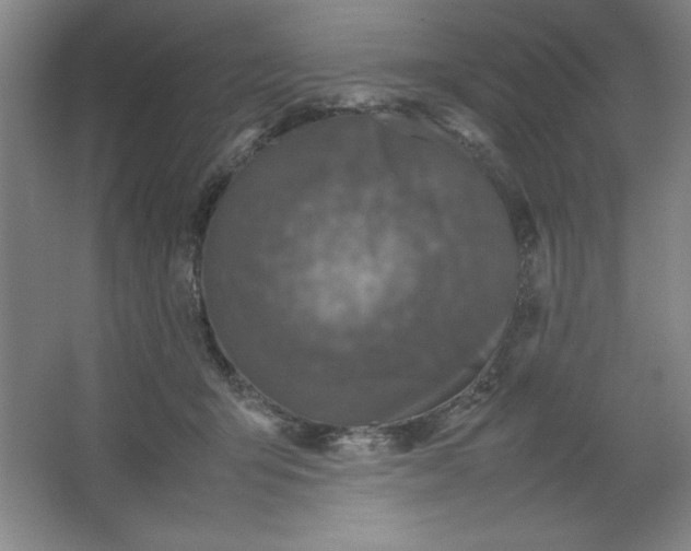X0000064060415200602101535