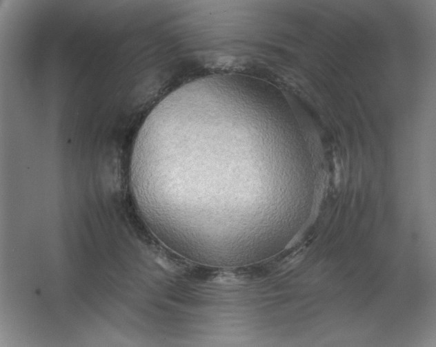 X0000064060416200602101535