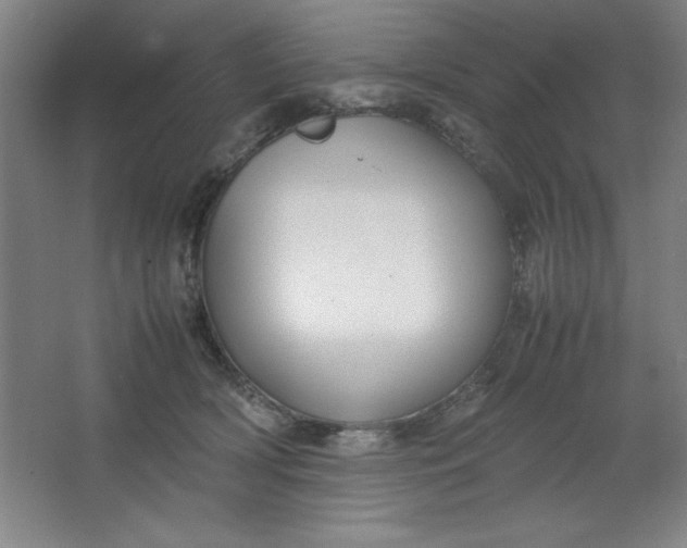 X0000064060418200602101535