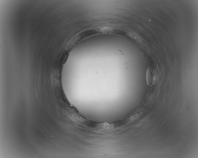 X0000064060421200602101535