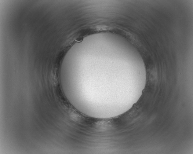 X0000064060422200602101535