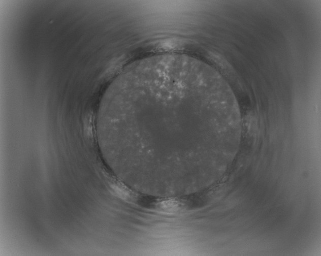 X0000064060423200602101535