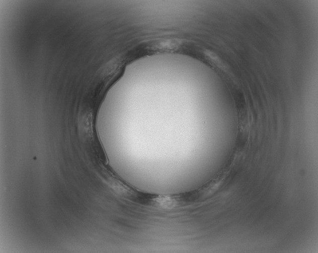 X0000064060425200602101535
