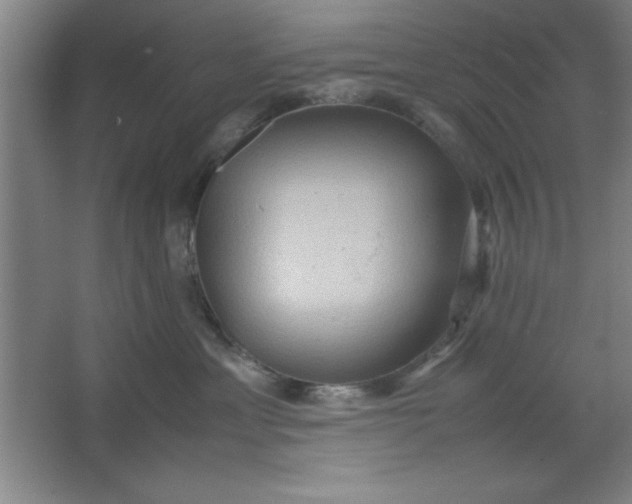 X0000064060429200602101535