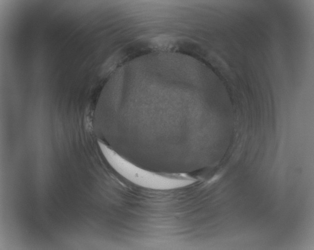 X0000064060432200602101535