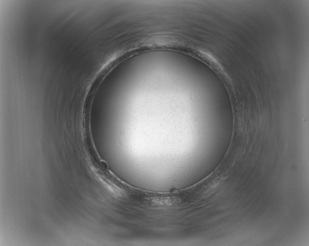 X0000064060439200602101534