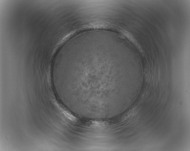 X0000064060442200602101534