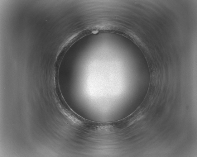 X0000064060446200602101534
