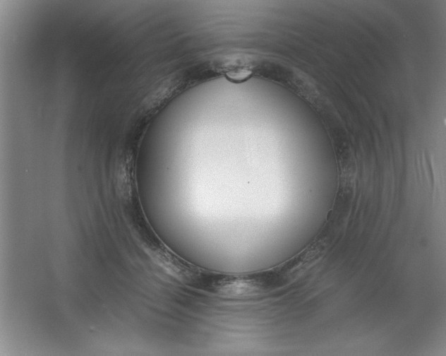 X0000064060460200602101535