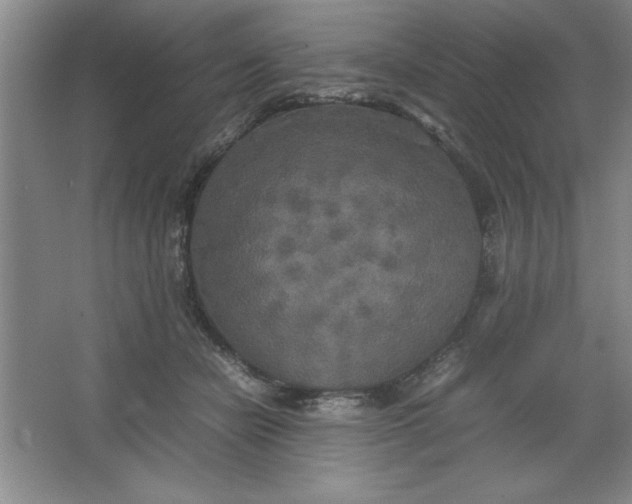 X0000064060462200602101535