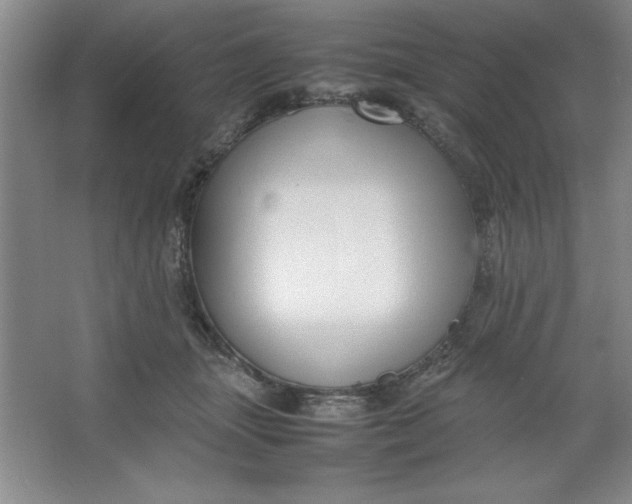 X0000064060463200602101535