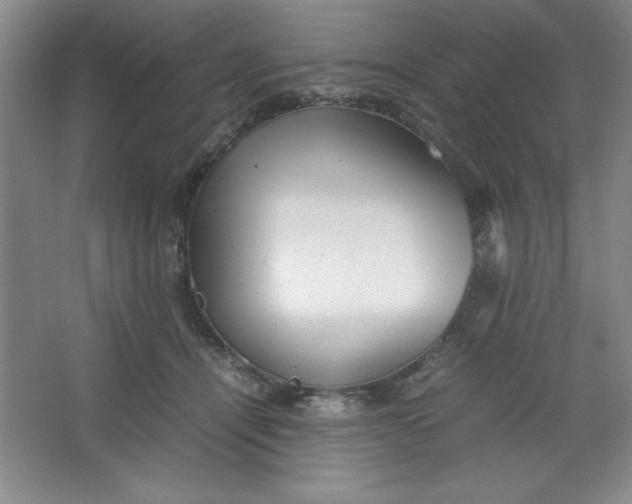 X0000064060464200602101535