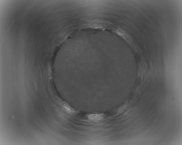 X0000064060465200602101535