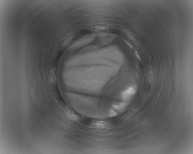 X0000064060467200602101535