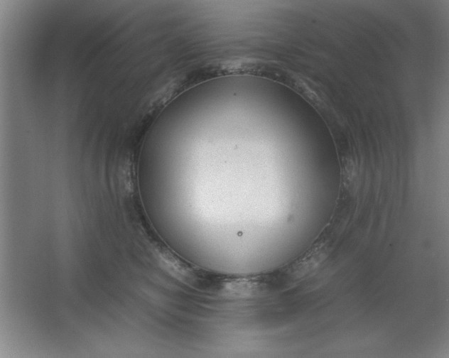 X0000064060470200602101535
