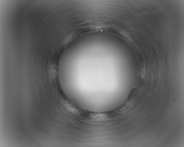 X0000064060476200602101535