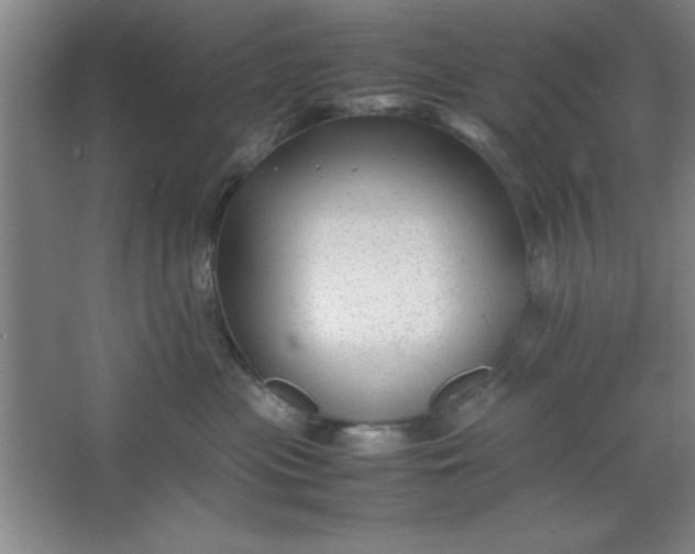 X0000064060477200602101535