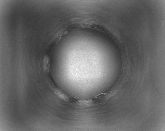 X0000064060480200602101535
