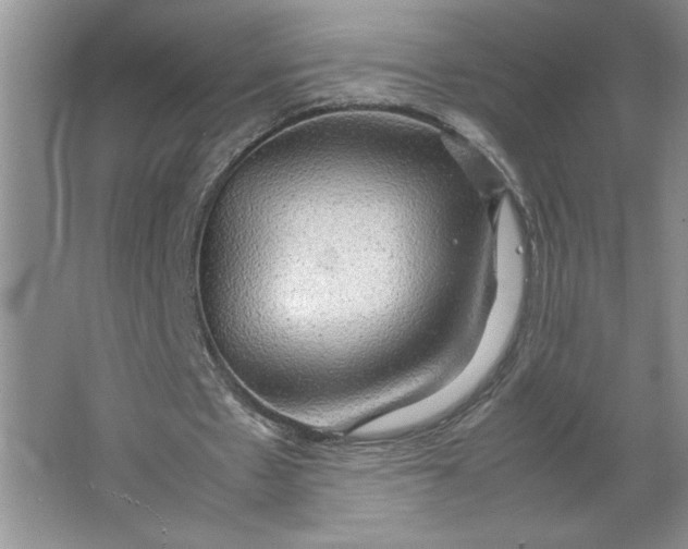 X0000064060481200602101534