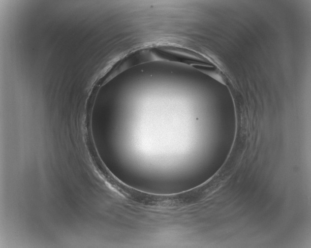 X0000064060485200602101534