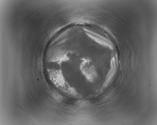 X0000064060487200602101534