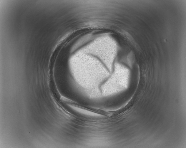 X0000064060488200602101534