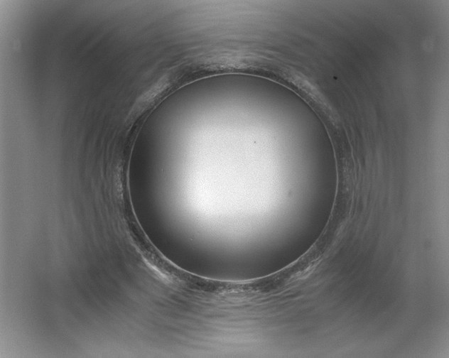 X0000064060489200602101534