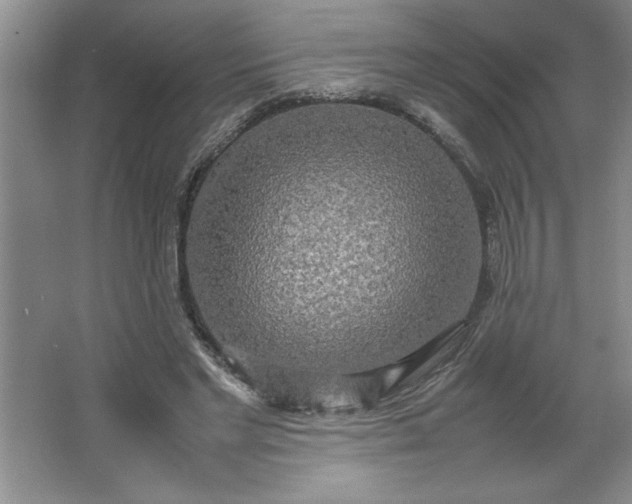 X0000064060493200602101534