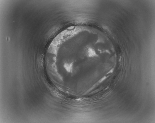 X0000064060495200602101534