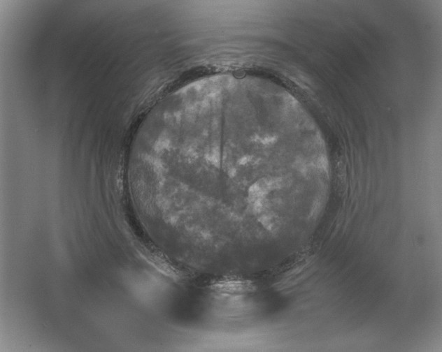 X0000064060499200602101534