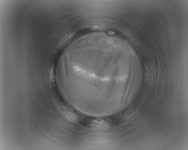 X0000064060502200602101534